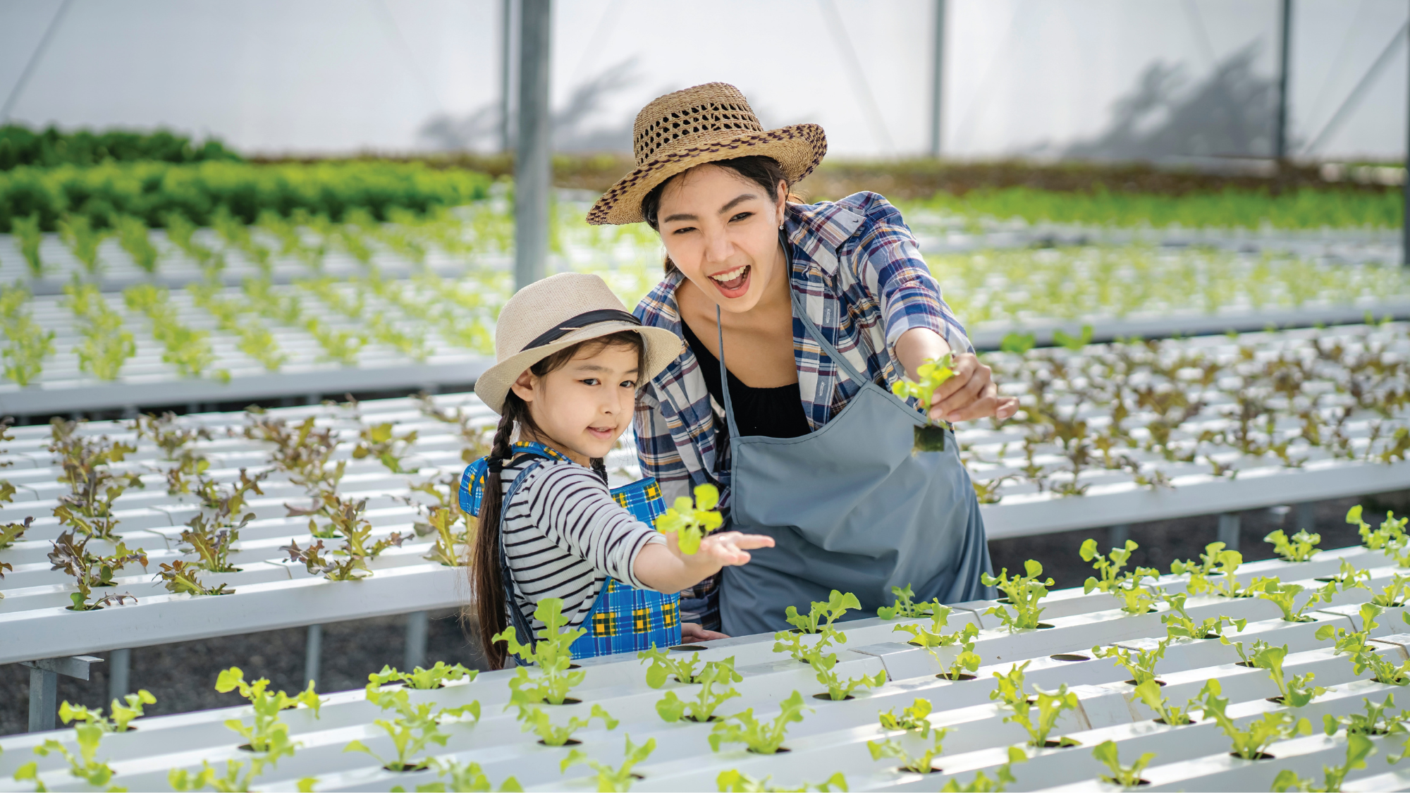 Văn Hóa Tay Bac Converging