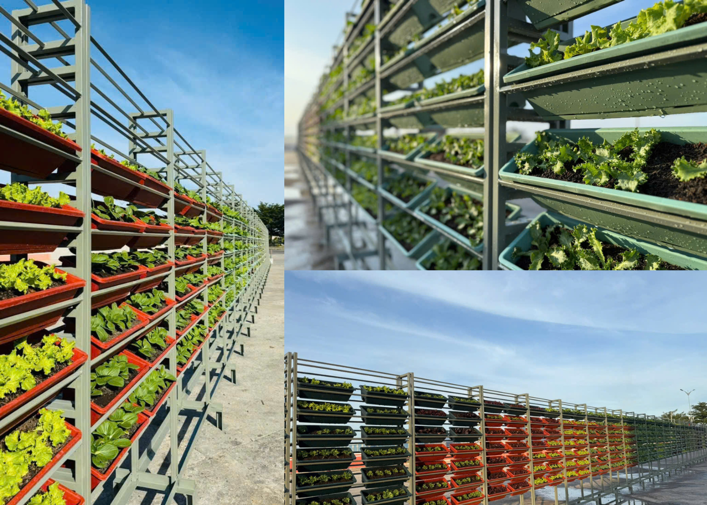 Những mảnh ghép khởi đầu Vườn đô thị mới